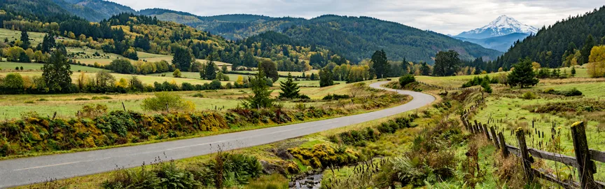 Exploring the Best Road Trips from Bellingham, WA